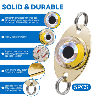 Drift Fishing Shop DUNKTEAM LED Underwater Fishing Lures – 5PCS Lighted Bait Flasher for Deep Drop Fishing