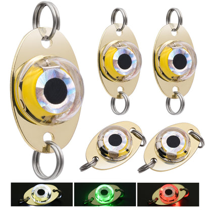 Drift Fishing Shop DUNKTEAM LED Underwater Fishing Lures – 5PCS Lighted Bait Flasher for Deep Drop Fishing